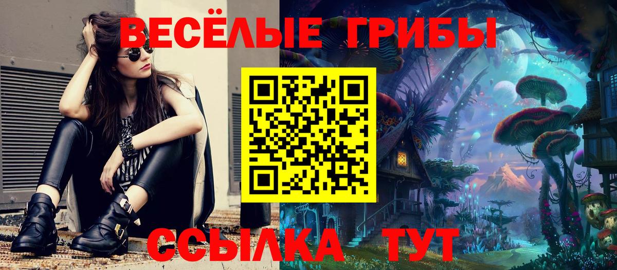 Галлюциногенные грибы MAGIC MUSHROOMS  Галлюциногенные грибы Cubensis  Краснознаменск  Вход с VPN 